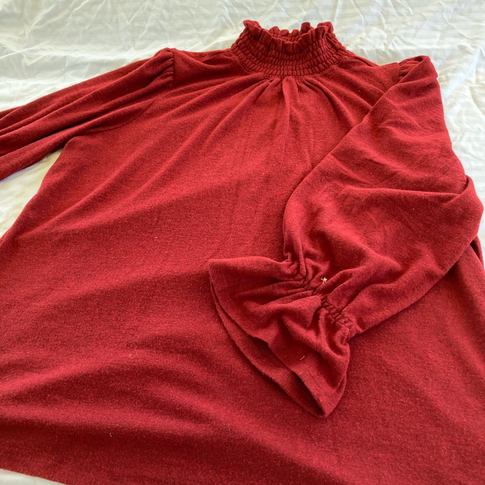 DG2 by Diane Gilman velour sweater